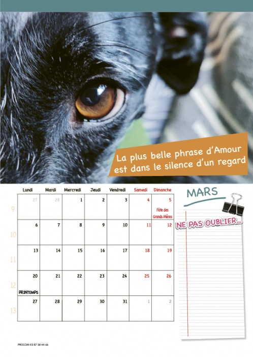 Calendrier 2023 1
