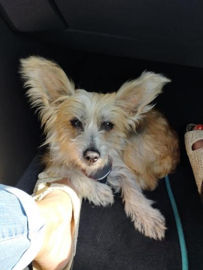 Cloe 3