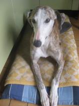 Fiona