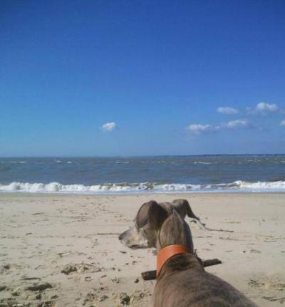 Herley et dune 3