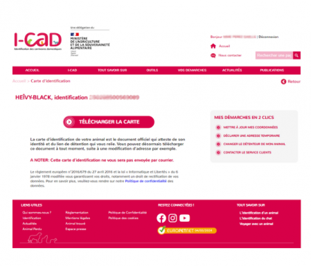 Icad