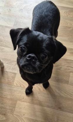 Lola 2