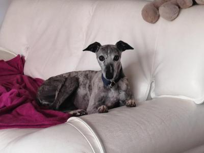 Louna 5