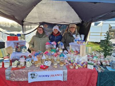 Marche de noel lesparre 1