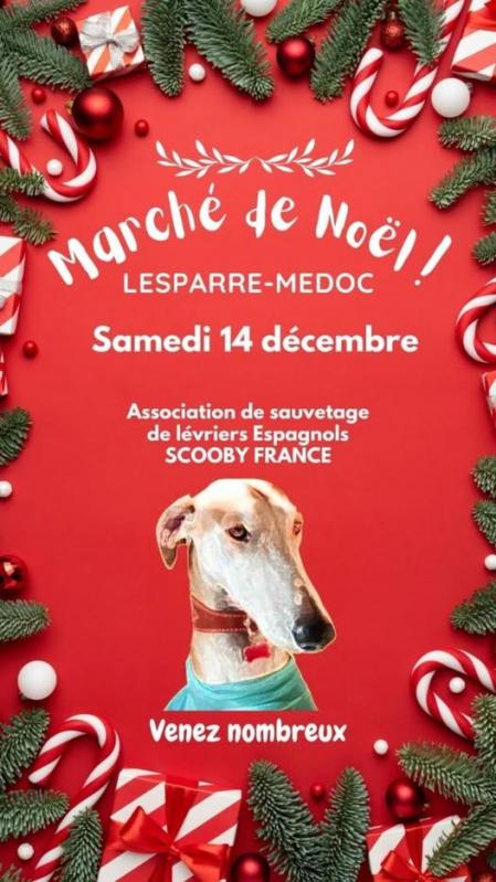 Marche de noel lesparre