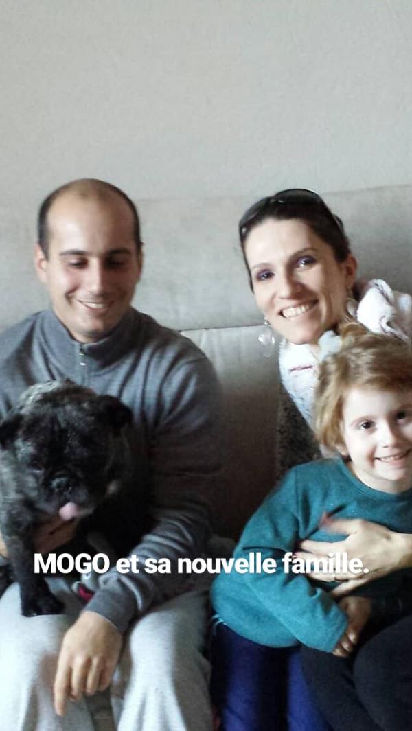 Mogo adopte