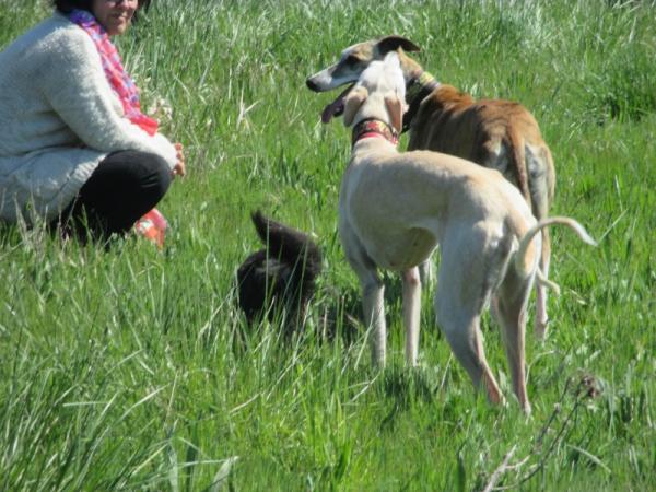 Nando et daisy 3