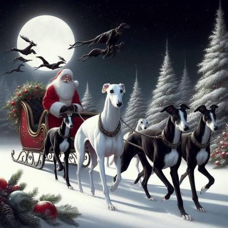 Noel affiche
