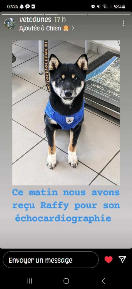 Raffy echo